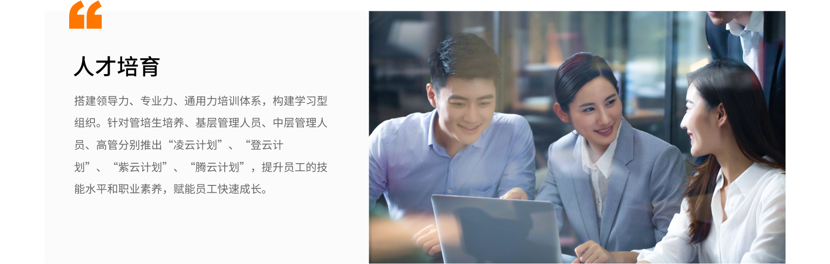 人才培育.png