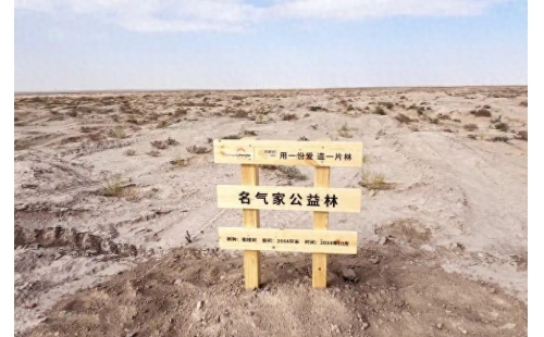 用一份爱，造一片林｜名气家公益林正式落成！
